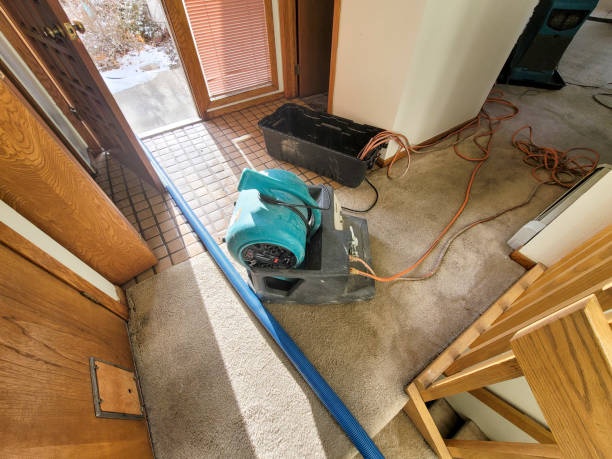 Best Water damage cleanup near me  in Slinger, WI