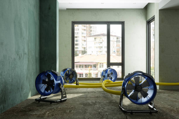 Best Water damage restoration company  in Slinger, WI