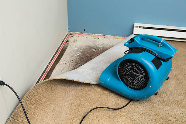 Best Mold removal after water damage  in Slinger, WI